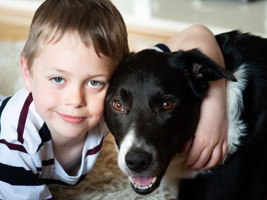 dogs for autism and adhd