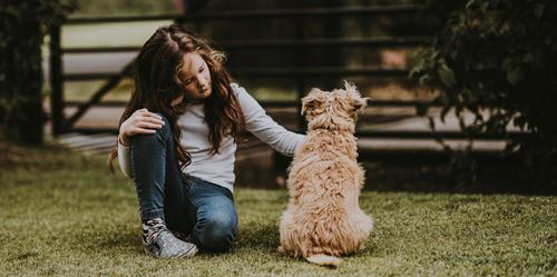 Dogs encourage communication in autism